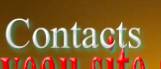 Contacts